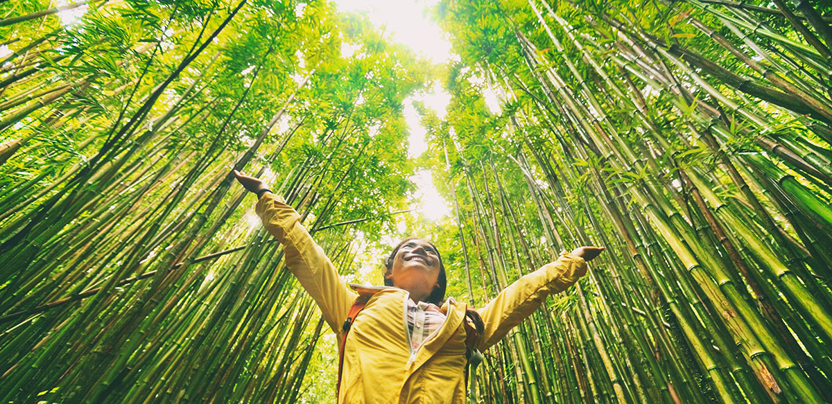 The similarity between children and bamboo