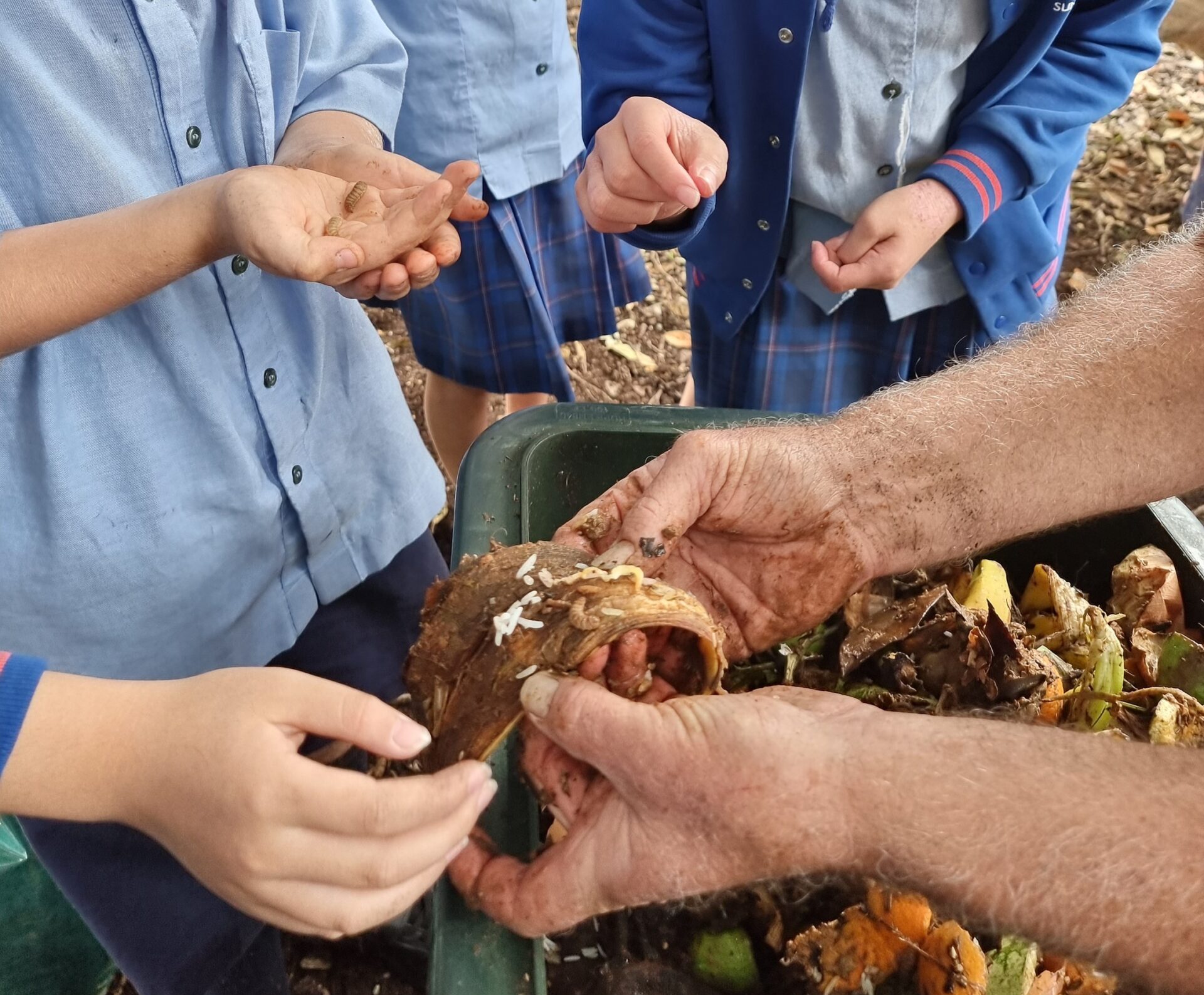 How Hot Compost Can Cool The Planet