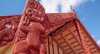 “It’s our identity”: backlash to Te Ahu o te reo Māori cuts