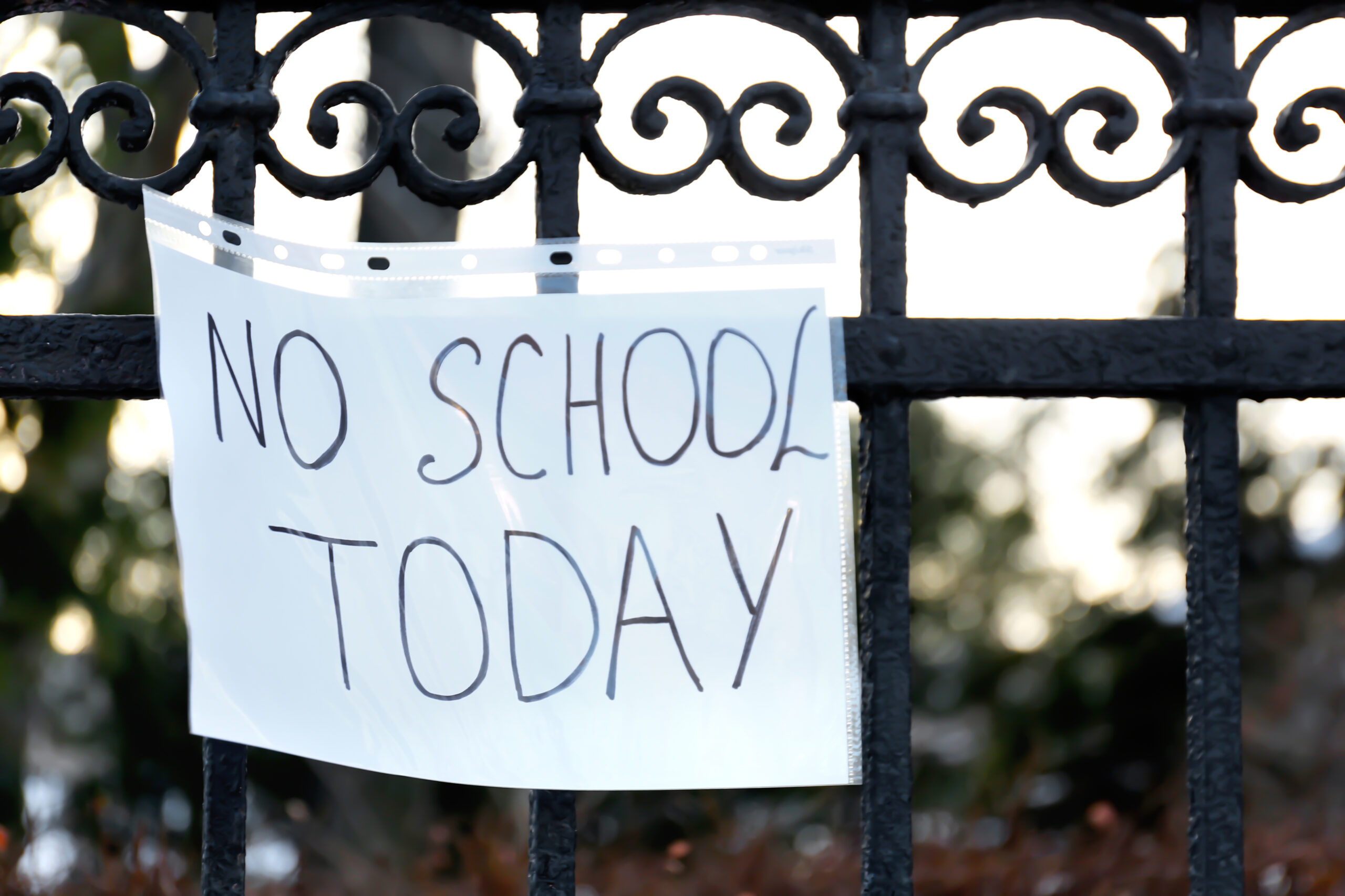 Flooding Closes Auckland Schools