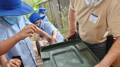 composting