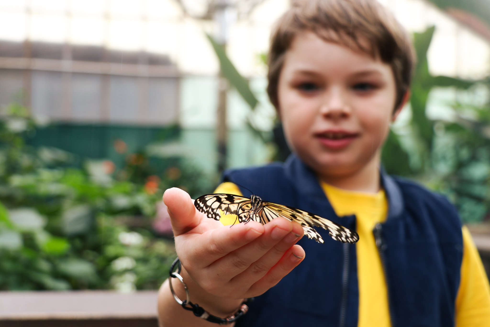 Learning with zoos and wildlife parks SchoolNews New Zealand