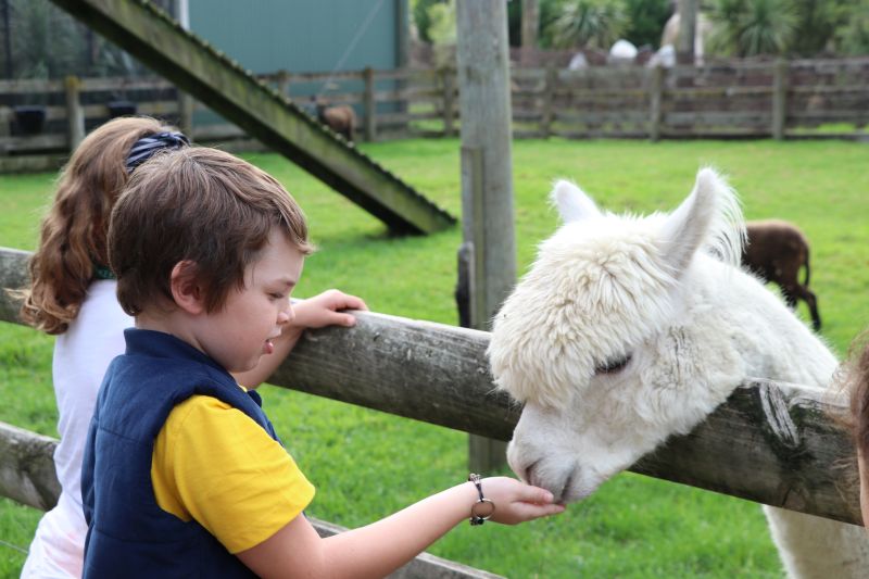 Wildlife Park