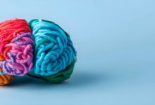 Colourful brain made from wool