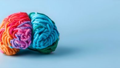 Colourful brain made from wool