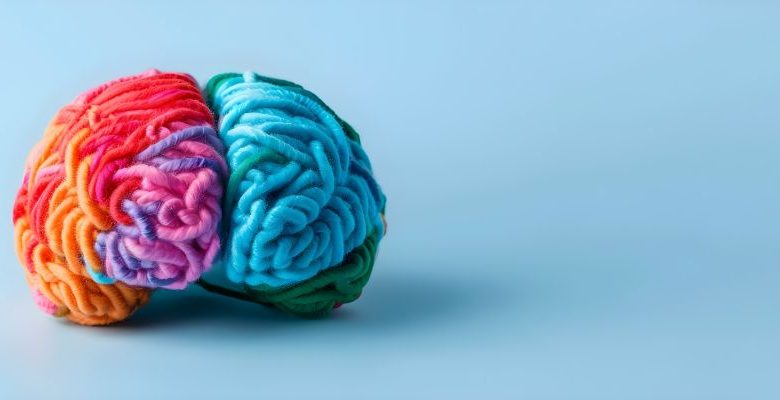 Colourful brain made from wool