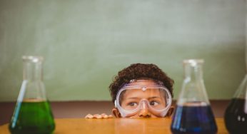 Science curriculum rewrite paused