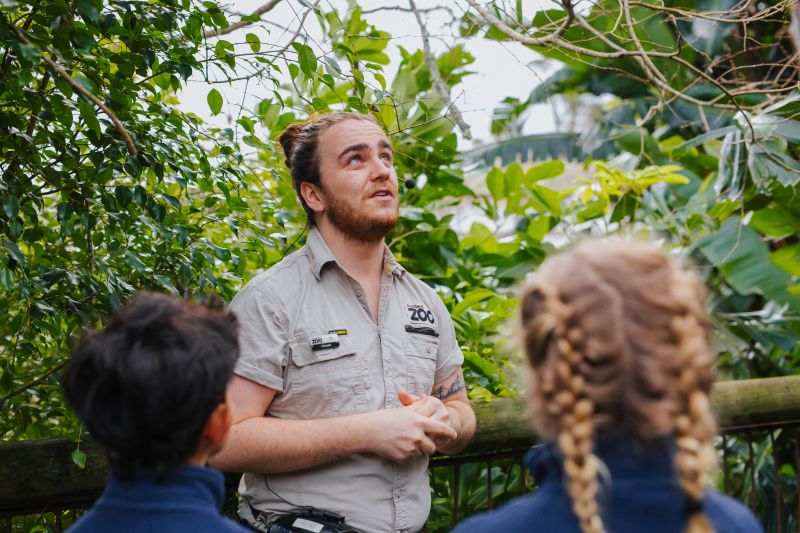 Educational wildlife talk