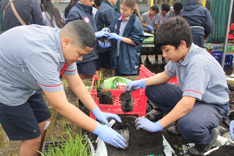 Students gardening