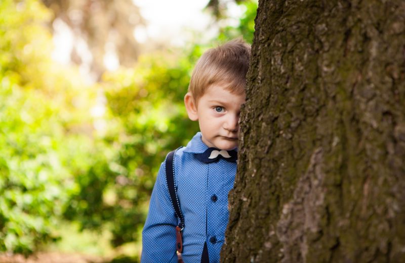 Does your school have enough trees? Here’s why they’re great for kids and their learning