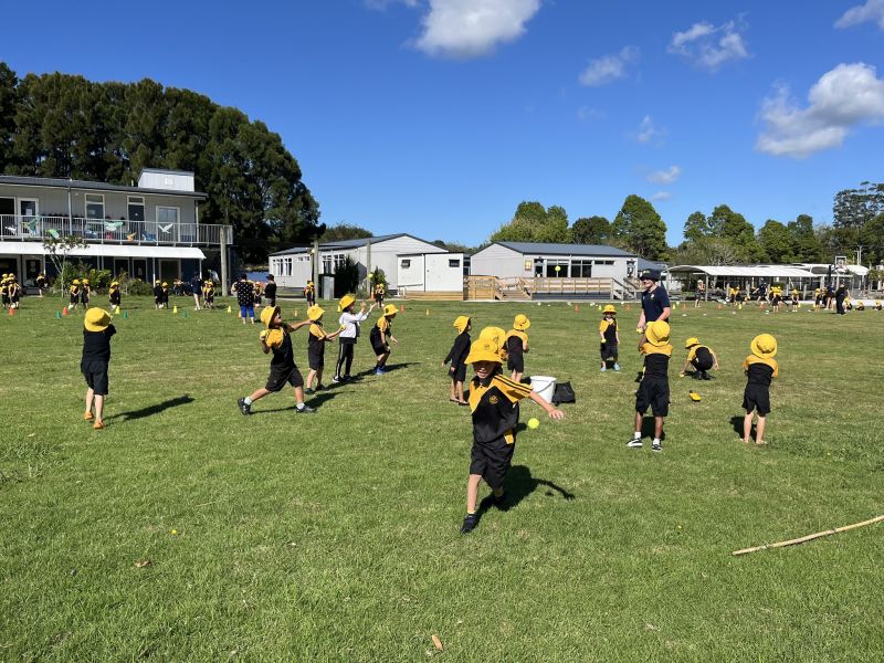 Students playing sport